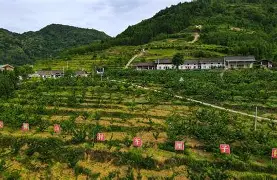 飘零piaoliangle 飘零piaoliangle